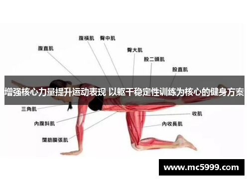 增强核心力量提升运动表现 以躯干稳定性训练为核心的健身方案
